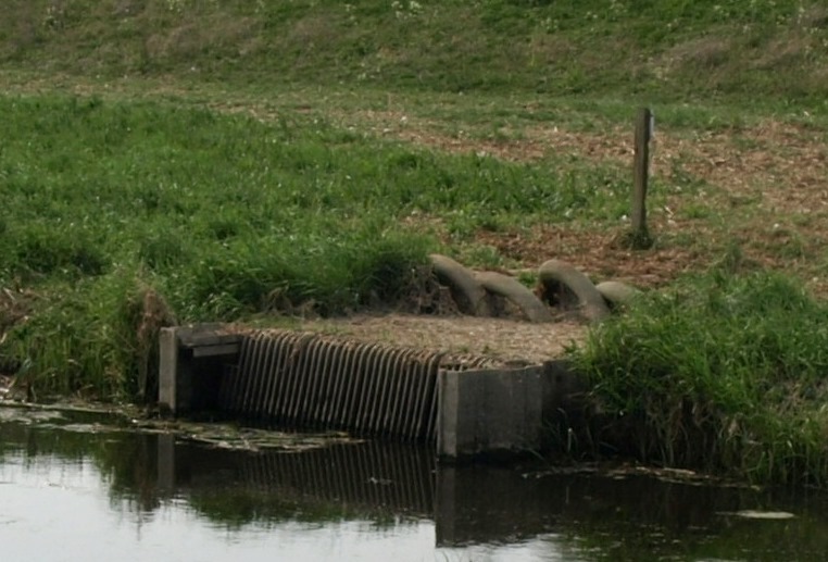 abstraction point weedscreen